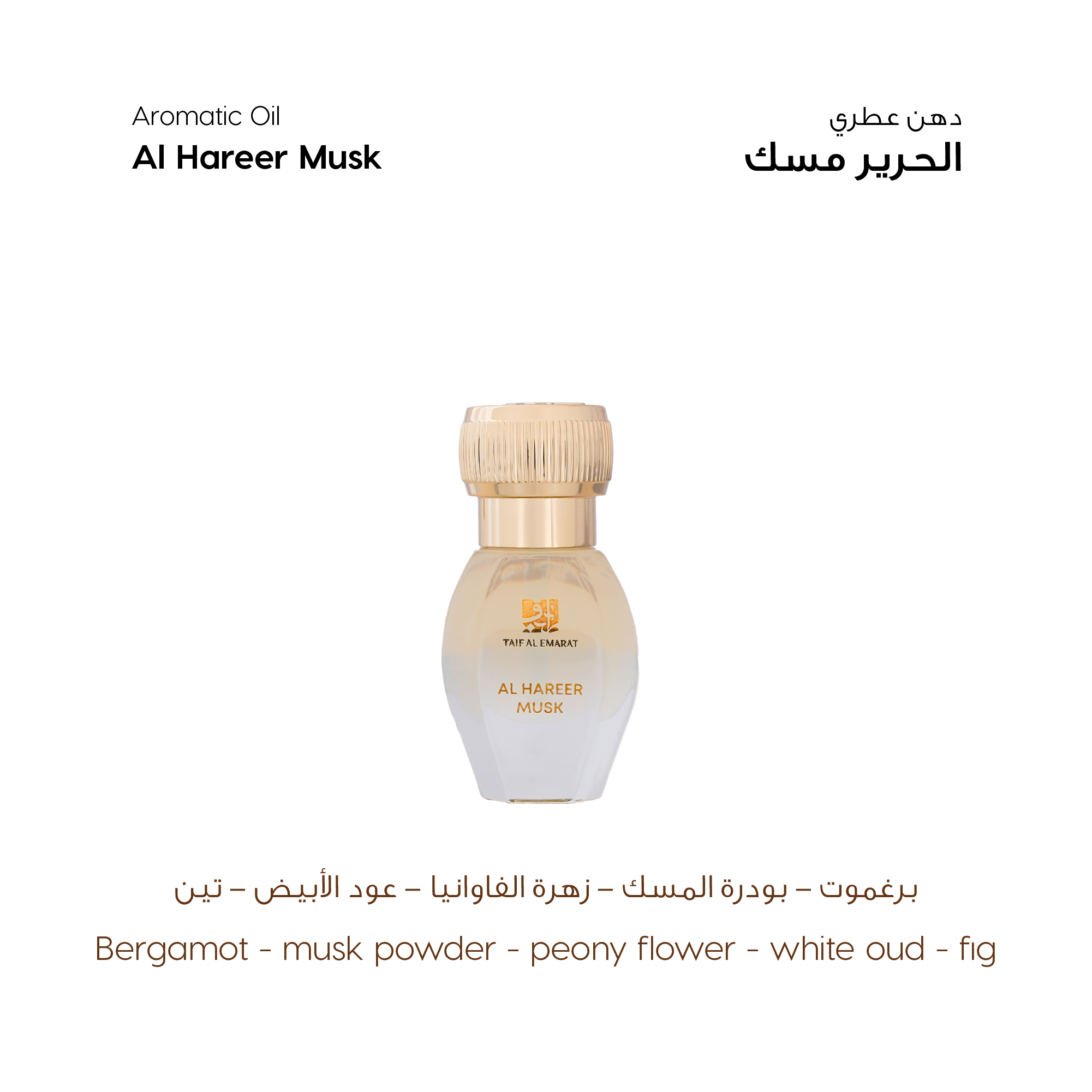 بوكس المدينة